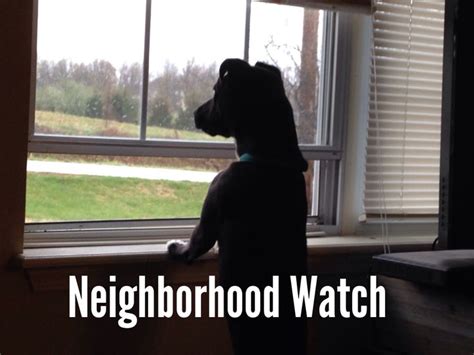 Neighborhood watch dog - What Neighborhood Watch is: A crime prevention partnership between the community and the police. Neighbors coming together to help each other and reduce the risk of crime and victimization. Learning to identify suspicious activity and reporting the activity to the other neighbors and the police. Learning and practicing Crime Prevention Through ... 